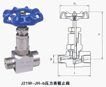J21W-JH-bֹy